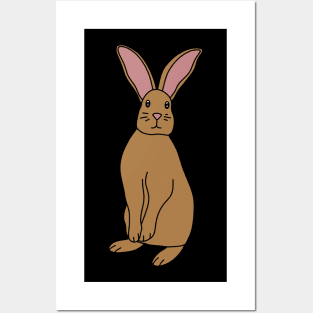 Brown Rabbit Posters and Art